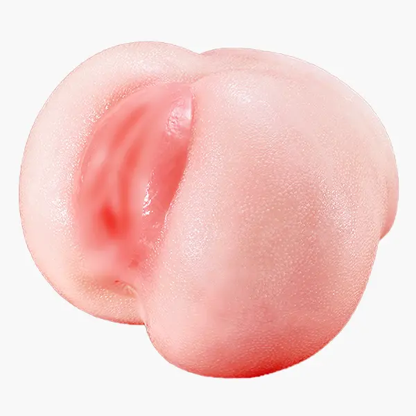 나비 육덕자매