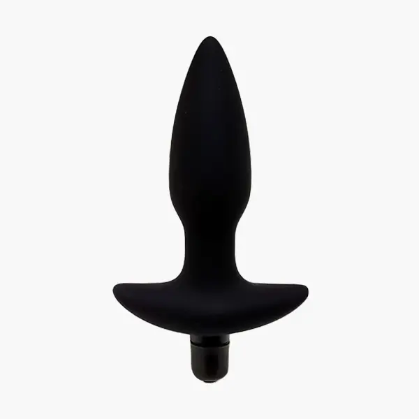 예인 실리콘 애널 플러그 하우팅4