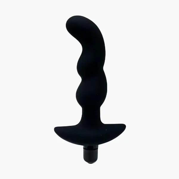 예인 실리콘 애널 플러그 하우팅6